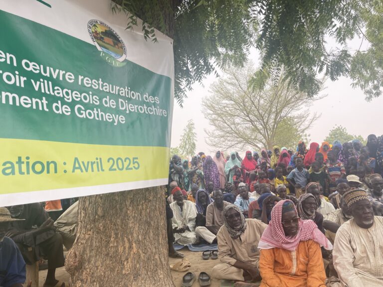 info et sensibilisation sur le lancement des Récupérations des terres a djerotchire (dargol) Département de gotheye region de Tillaberi